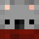 Player skin of aikimn12