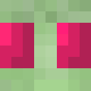 Player skin of ZimTheDestoyer