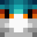 Player skin of shellos33