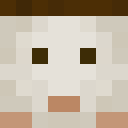 Player skin of drangonJ