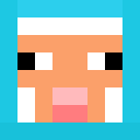 Player skin of denial1707