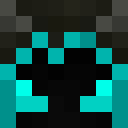 Player skin of destrozalmas