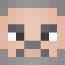 Player skin of devleesch