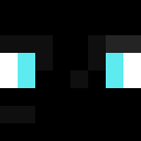 Player skin of djtenks