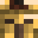 Player skin of dolphinrider142