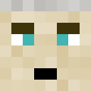 Player skin of donaldbricktrump