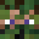 Player skin of donovan059