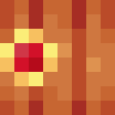 Player skin of dss20
