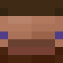 Player skin of dudniki