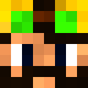 Player skin of minivan_racer
