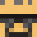 Player skin of BigGubbyCat