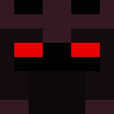 Player skin of 111Warwer