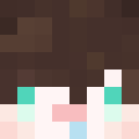 Player skin of Andyli0123