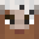 Player skin of WaxyMelton8