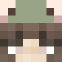 Player skin of mslaw