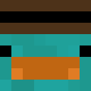 Player skin of GemFind