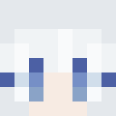 Player skin of CampadAsCleric