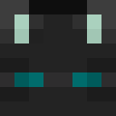 Player skin of SupremeArcher7