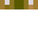 Player skin of valitns2