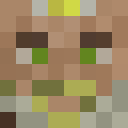 Player skin of Dino_Rider