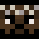 Player skin of eagledaganster