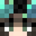 Player skin of WinterBlue3