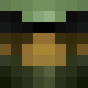 Player skin of Rengaw12