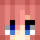 Player skin of engyt