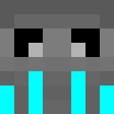 Player skin of PricedBurrito42