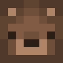 Player skin of nolanator454