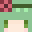 Player skin of permq