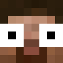 Player skin of REX_211
