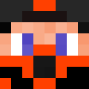 Player skin of Zwyklylegionista