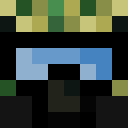 Player skin of mr_linus