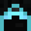 Player skin of Nathanator6