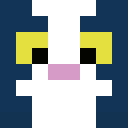 Player skin of eldres123