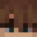 Player skin of endvoic