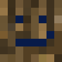 Player skin of TeamBaum