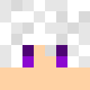 Player skin of BlasterZ_YT