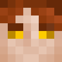 Player skin of Siegmire