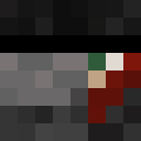Player skin of Memion13