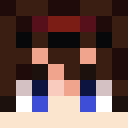 Player skin of Lion