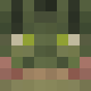 Player skin of Zebraking90