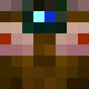 Player skin of pojoj