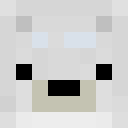Player skin of kl2