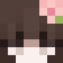 Player skin of palttamole_