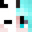 Player skin of Cheerser