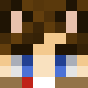 Player skin of facecat1