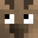 Player skin of Wombathead