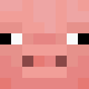Player skin of Grunziii